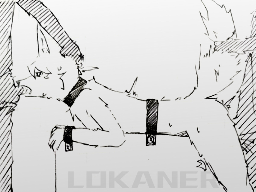 Anthro Rule 34 Image