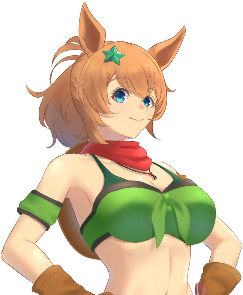 Taiki Shuttle (Umamusume) Rule 34 Image