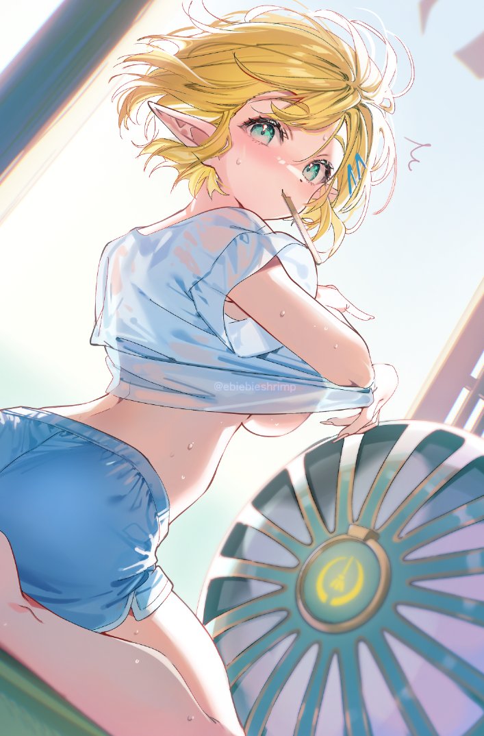 Princess Zelda (Nintendo) Rule 34 Image