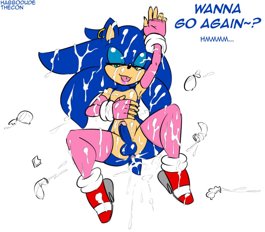 Sonic The Hedgehog (Sega) Rule 34 Image