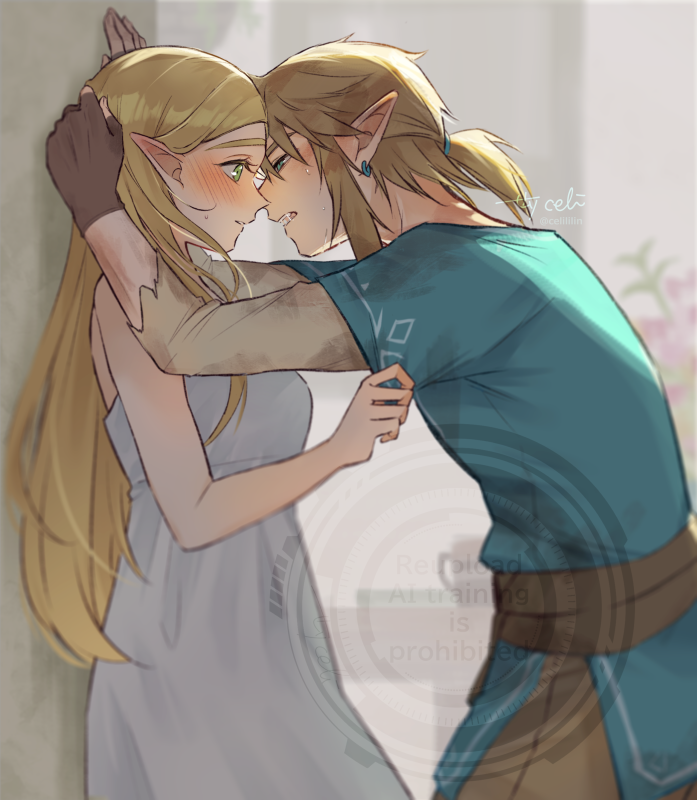 Link (Nintendo) Rule 34 Image