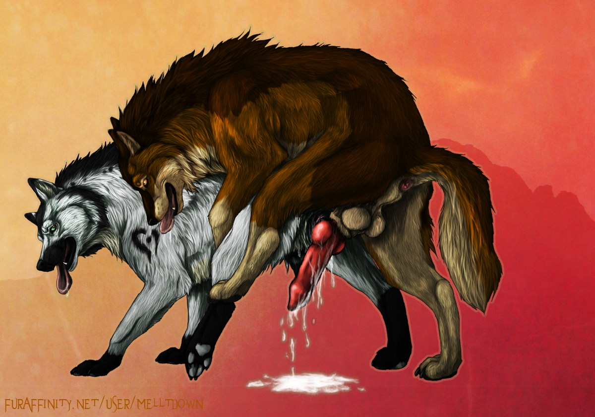 After Sex Rule 34 Image