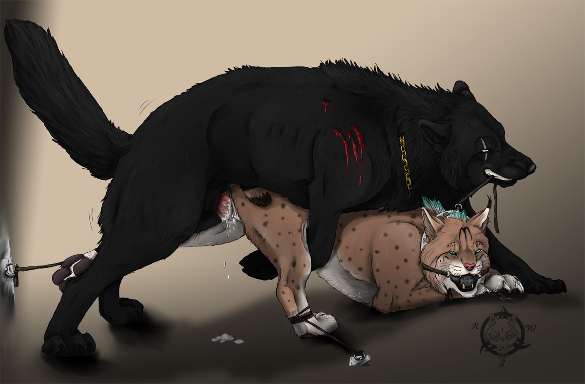 Canine Rule 34 Image