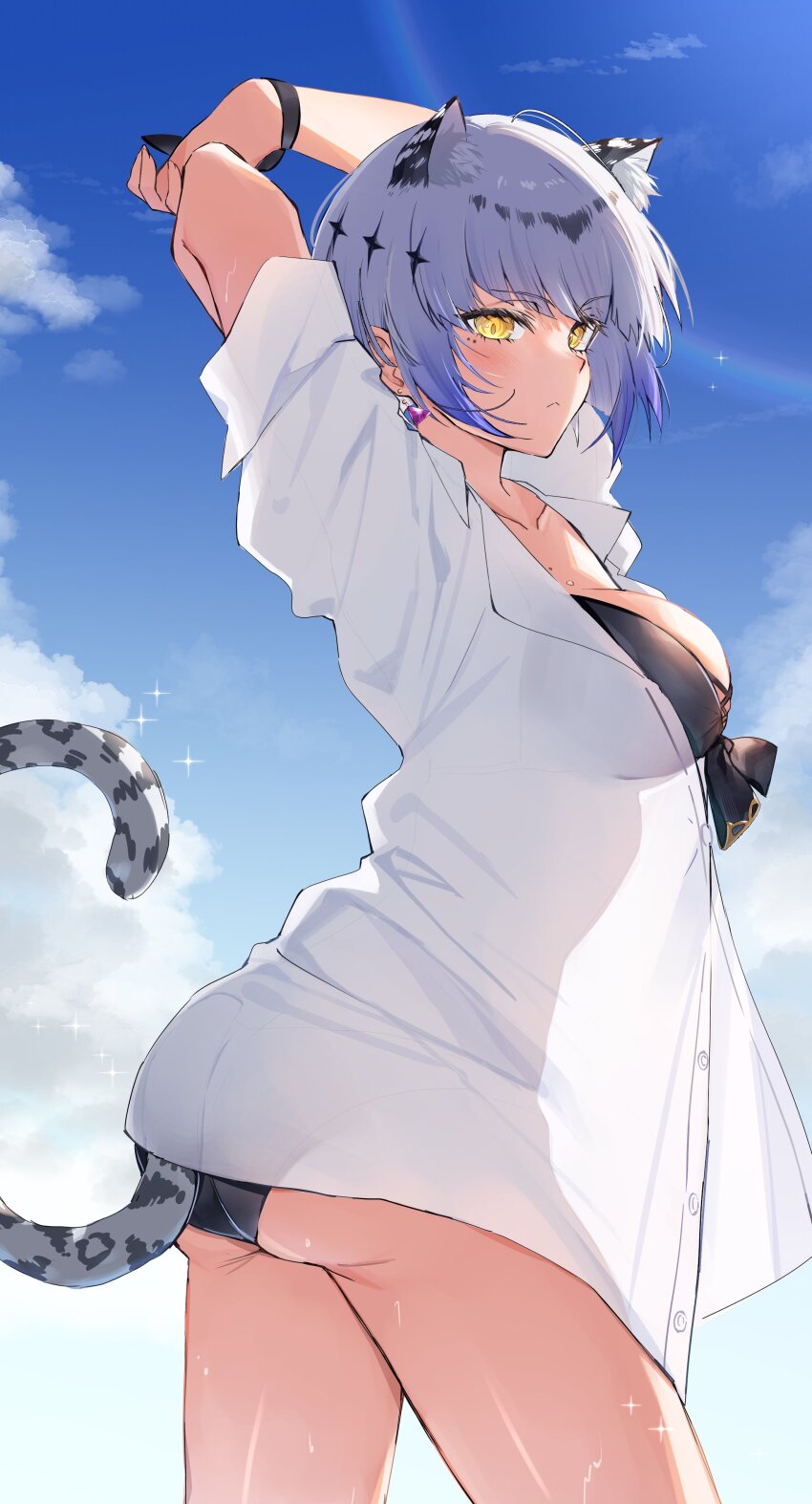 Shadowverse Rule 34 Image