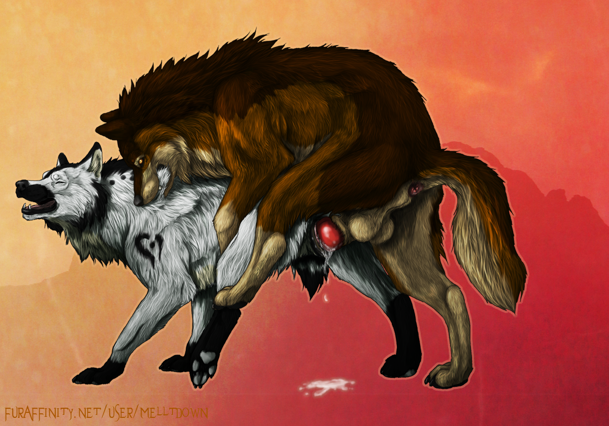 Anal Rule 34 Image