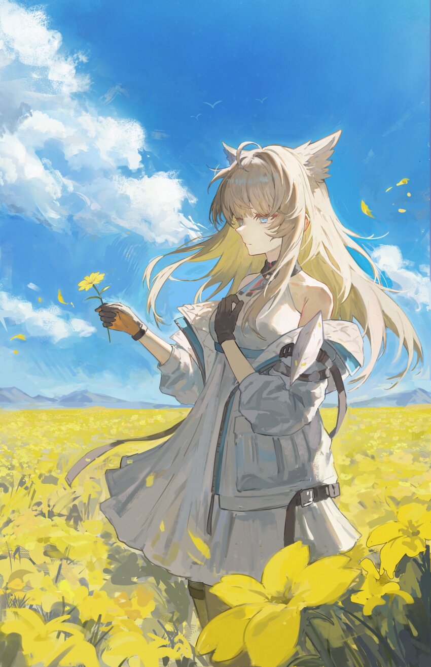 Perlica (Arknights) Rule 34 Image