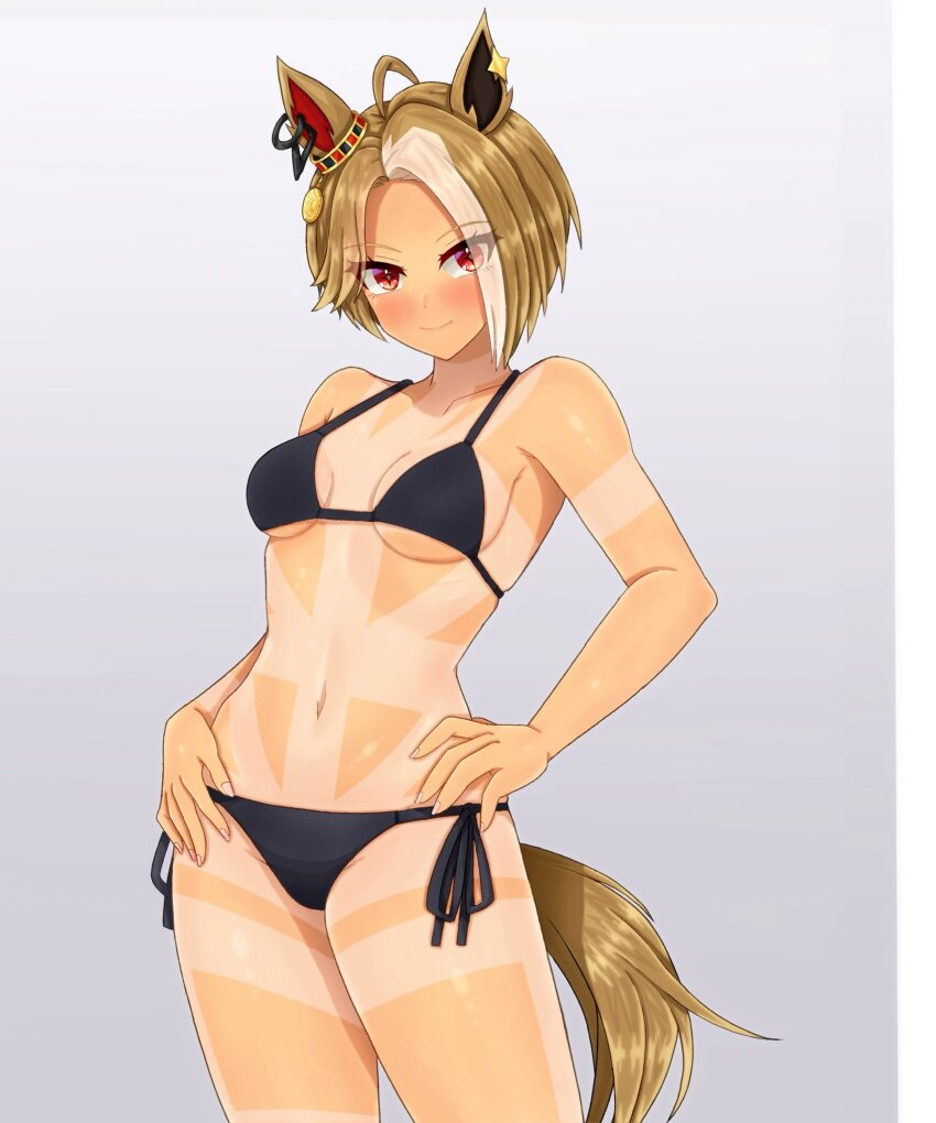 Umamusume Rule 34 Image