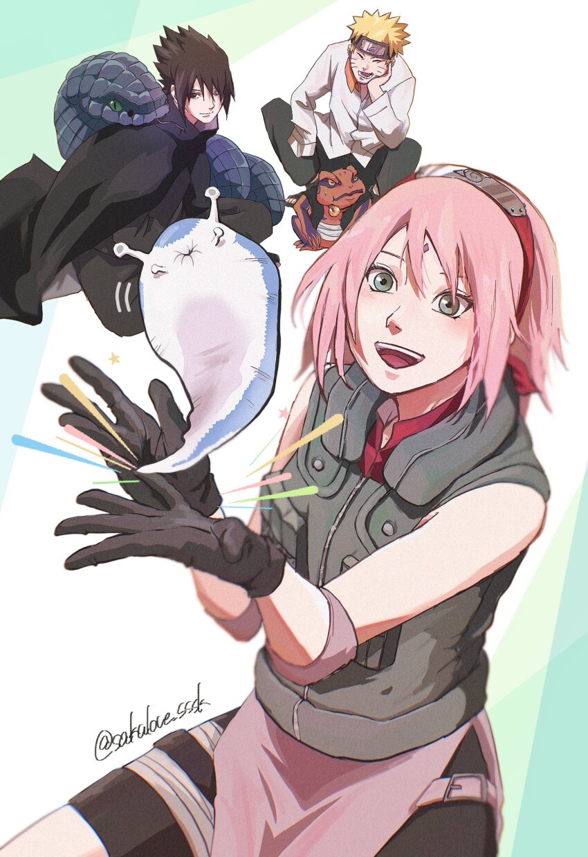 Haruno Sakura (Gamakichi (Naruto)) Rule 34 Image