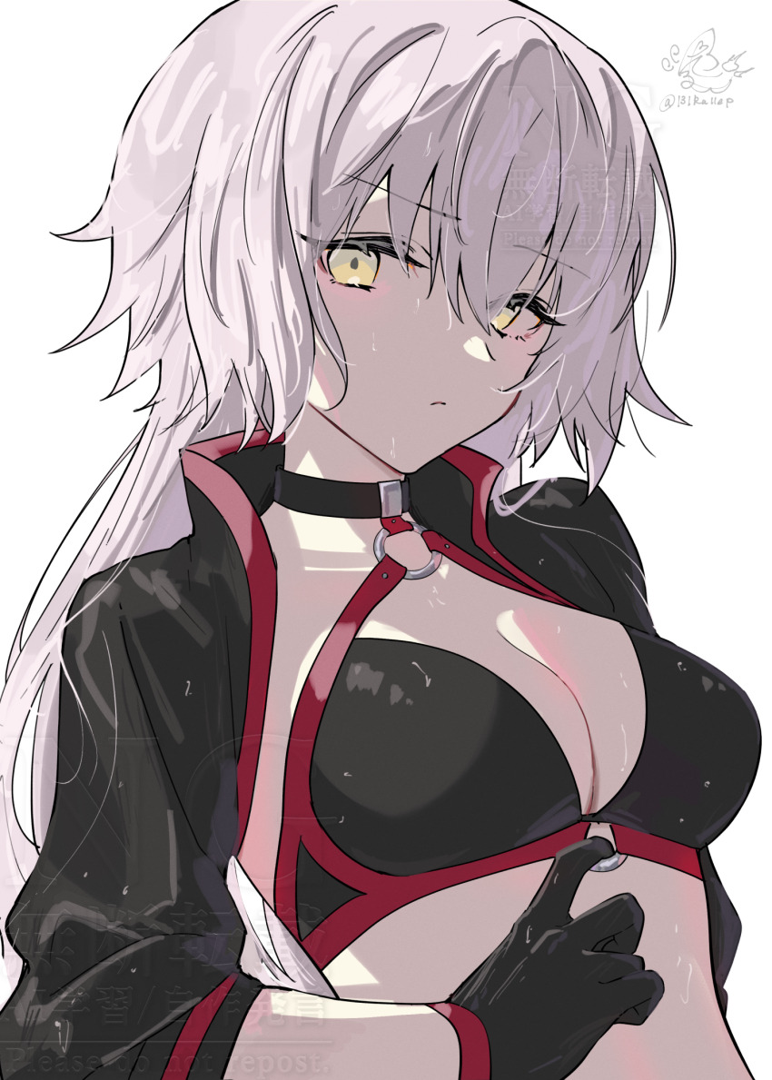 Jeanne D'Arc Alter (Fate) Rule 34 Image