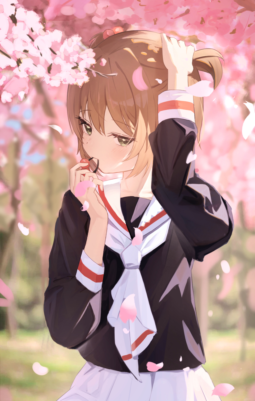 Kinomoto Sakura (Cardcaptor Sakura) Rule 34 Image