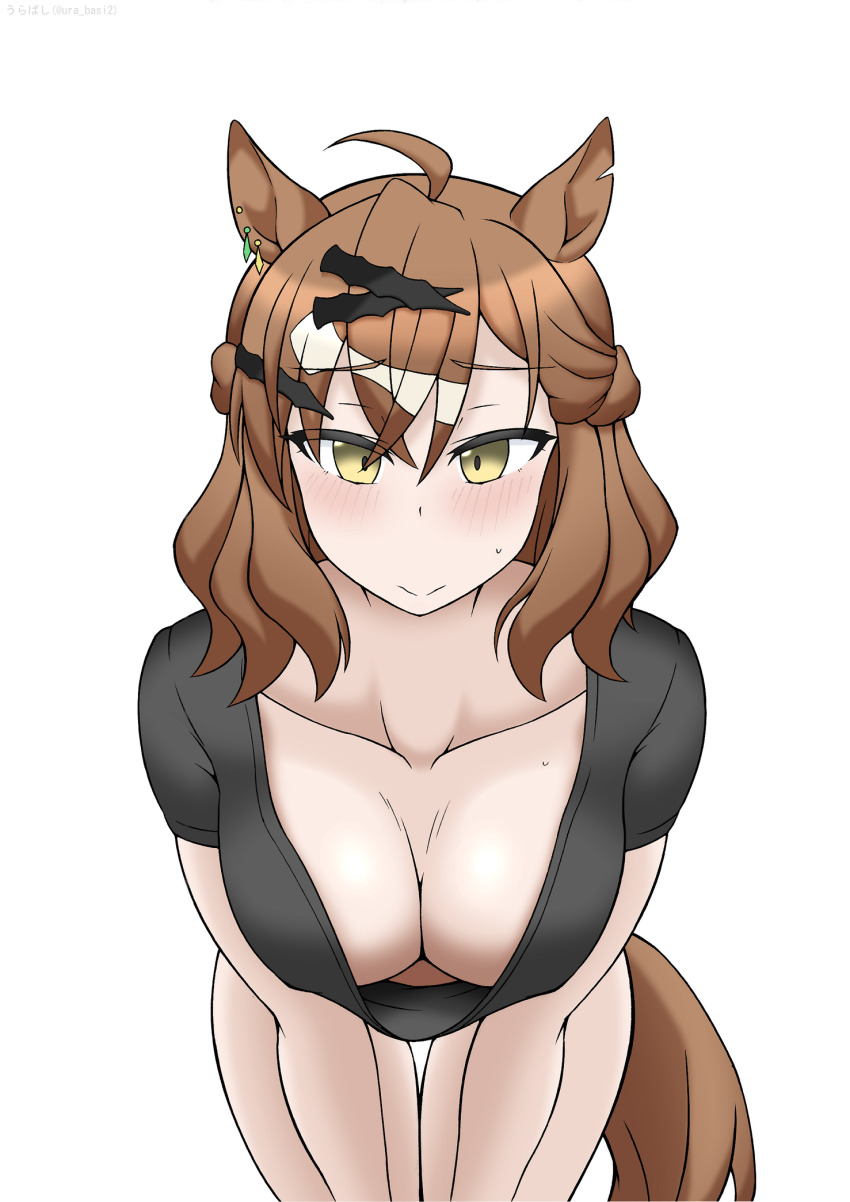 Jungle Pocket (Umamusume) Rule 34 Image