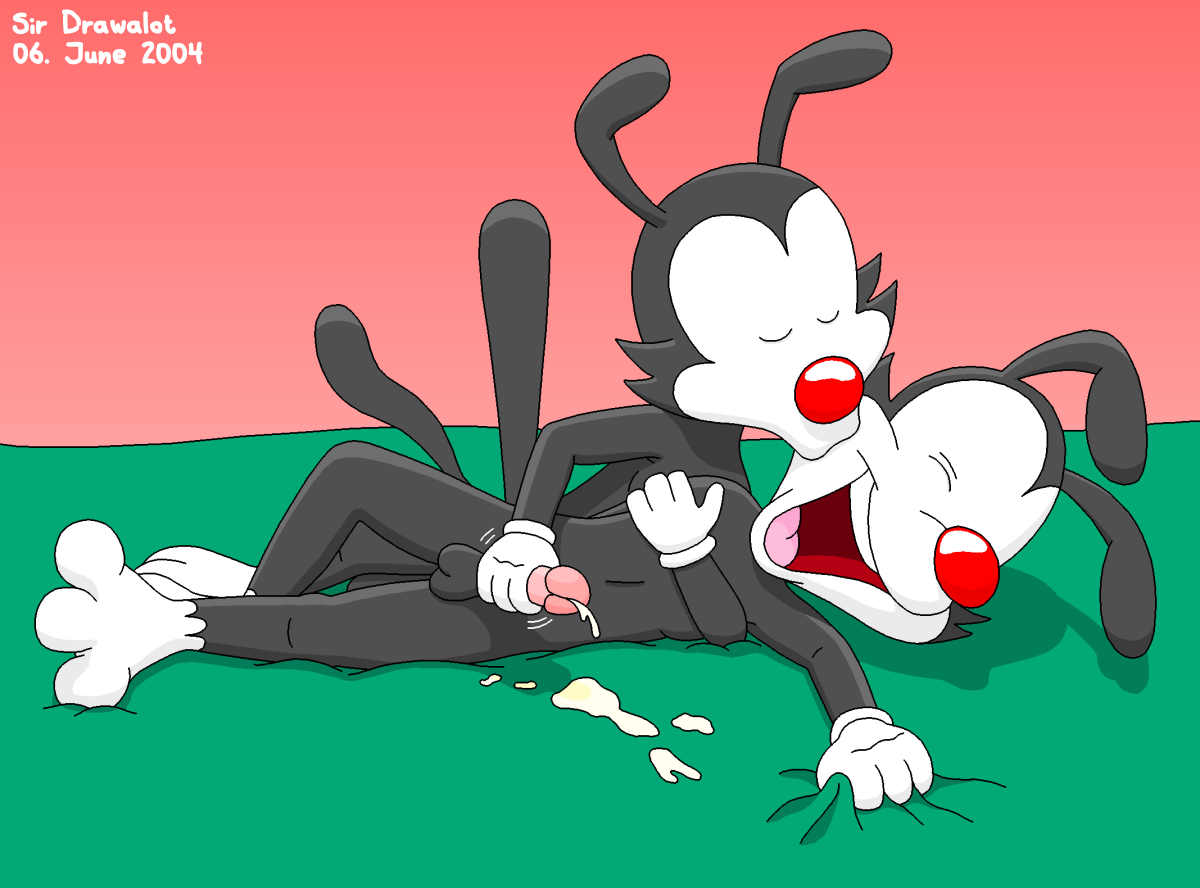 Wakko Warner (Animaniacs) Rule 34 Image