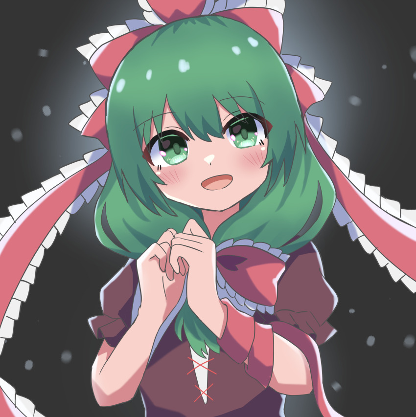 Kagiyama Hina (Touhou) Rule 34 Image