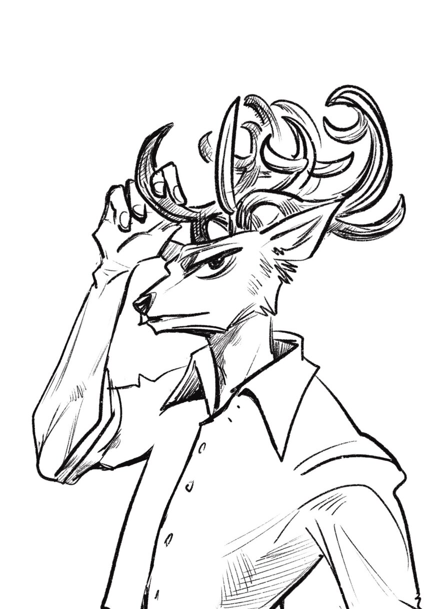 Louis (Beastars) Rule 34 Image