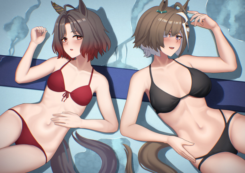 Rose Kingdom (Umamusume) Rule 34 Image