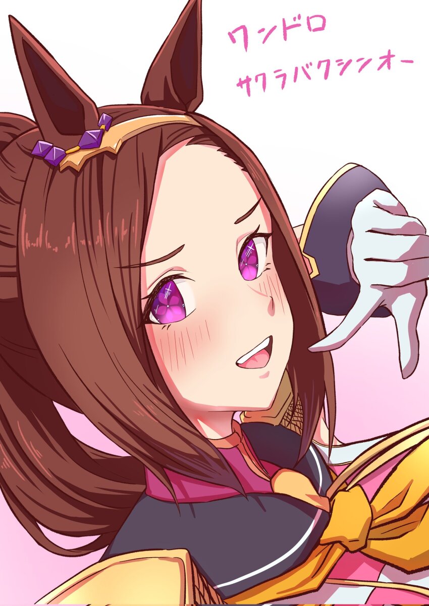 Sakura Bakushin O (Blossom In Learning) (Umamusume) Rule 34 Image