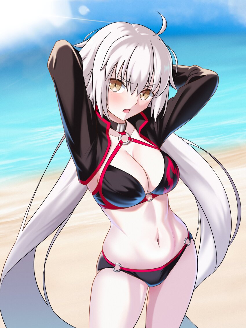 Jeanne D'Arc Alter (Fate) Rule 34 Image
