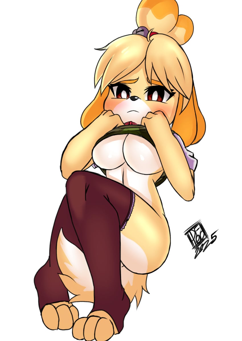 Isabelle (Animal Crossing) Rule 34 Image
