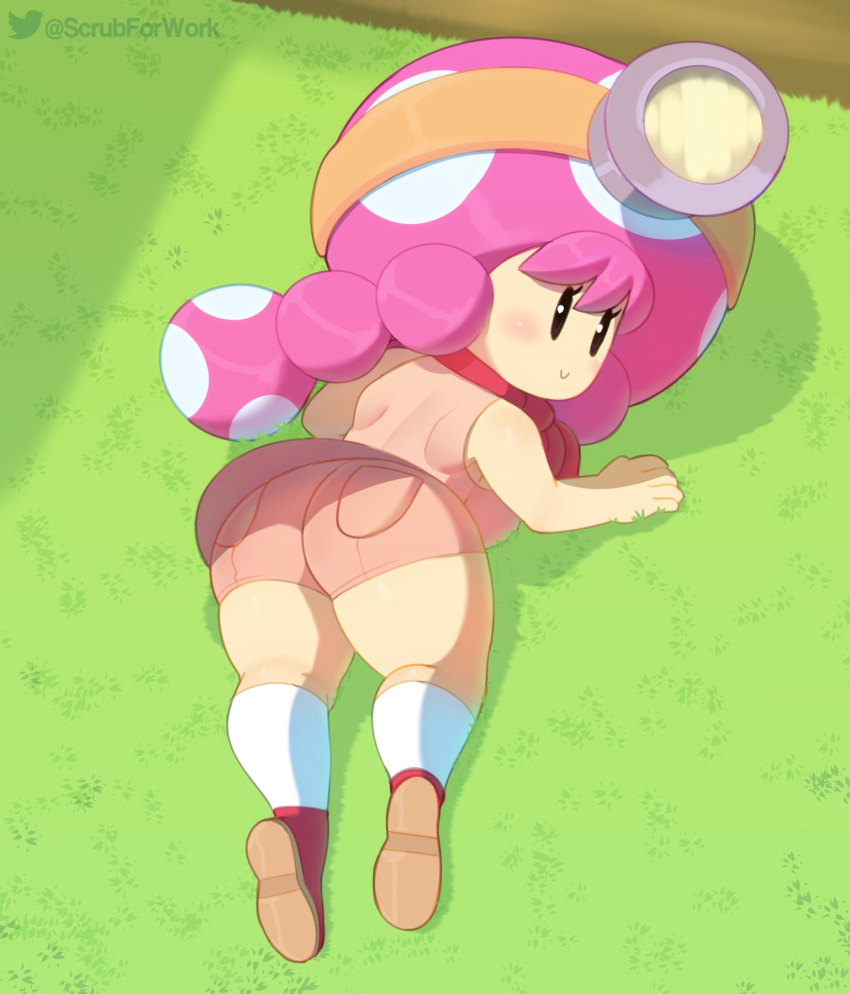 Toadette (Mario (Series)) Rule 34 Image