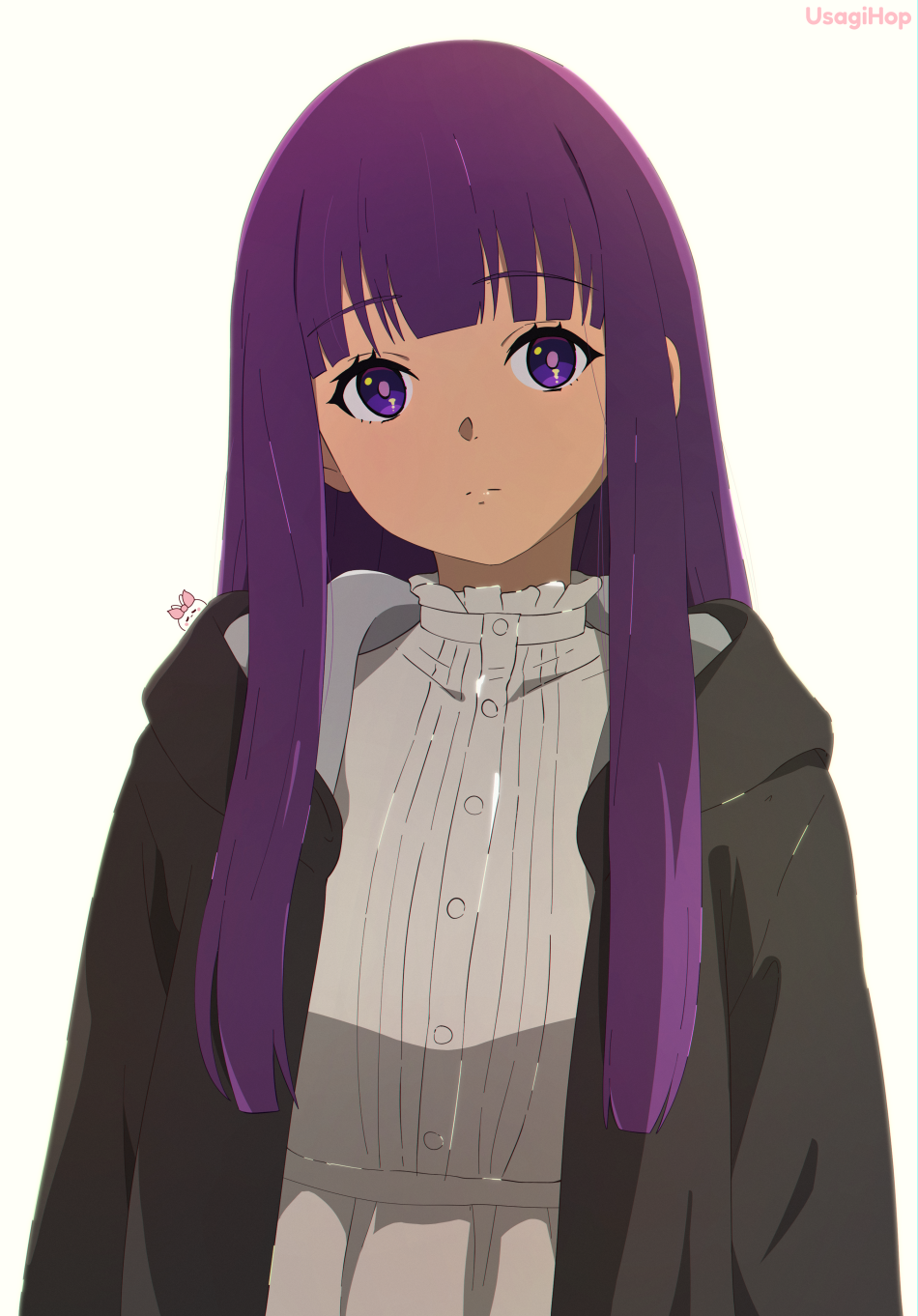 Fern (Sousou No Frieren) Rule 34 Image