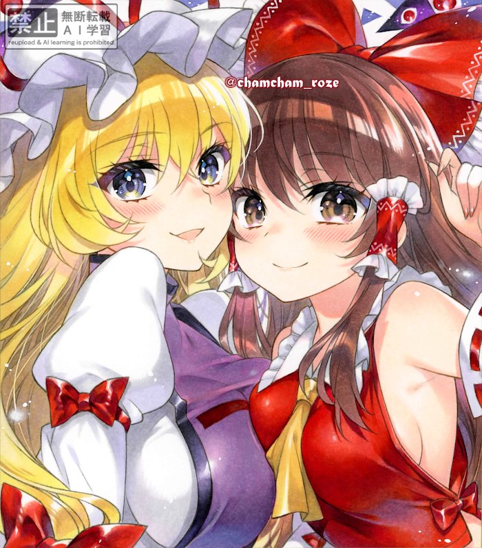 Hakurei Reimu (Touhou) Rule 34 Image