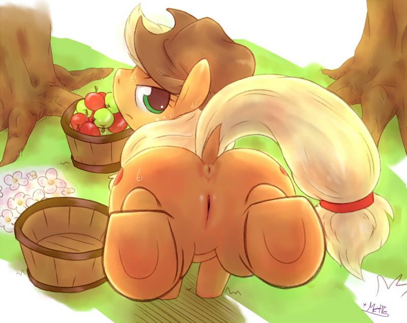Applejack (Mlp) Rule 34 Image