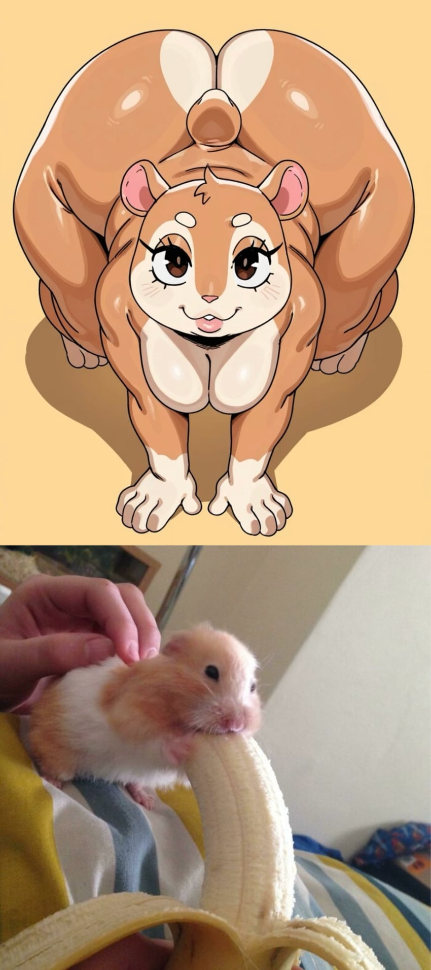 1female Rule 34 Image