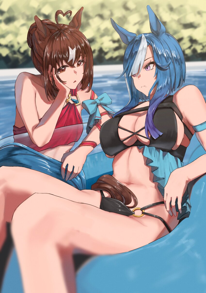 Admire Groove (Umamusume) Rule 34 Image