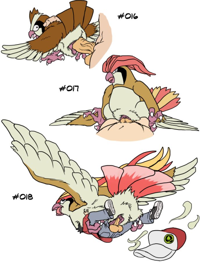 Pidgeot (Nintendo) Rule 34 Image