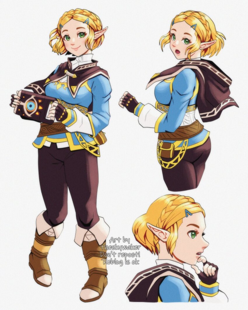 Princess Zelda (Nintendo) Rule 34 Image