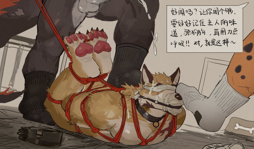 4 Toes Rule 34 Image