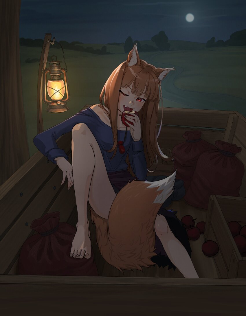Holo (Spice And Wolf) Rule 34 Image