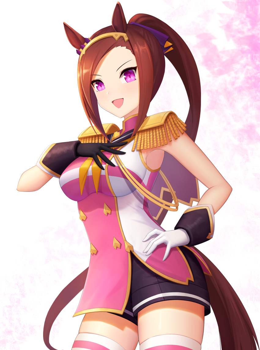 Sakura Bakushin O (Blossom In Learning) (Umamusume) Rule 34 Image