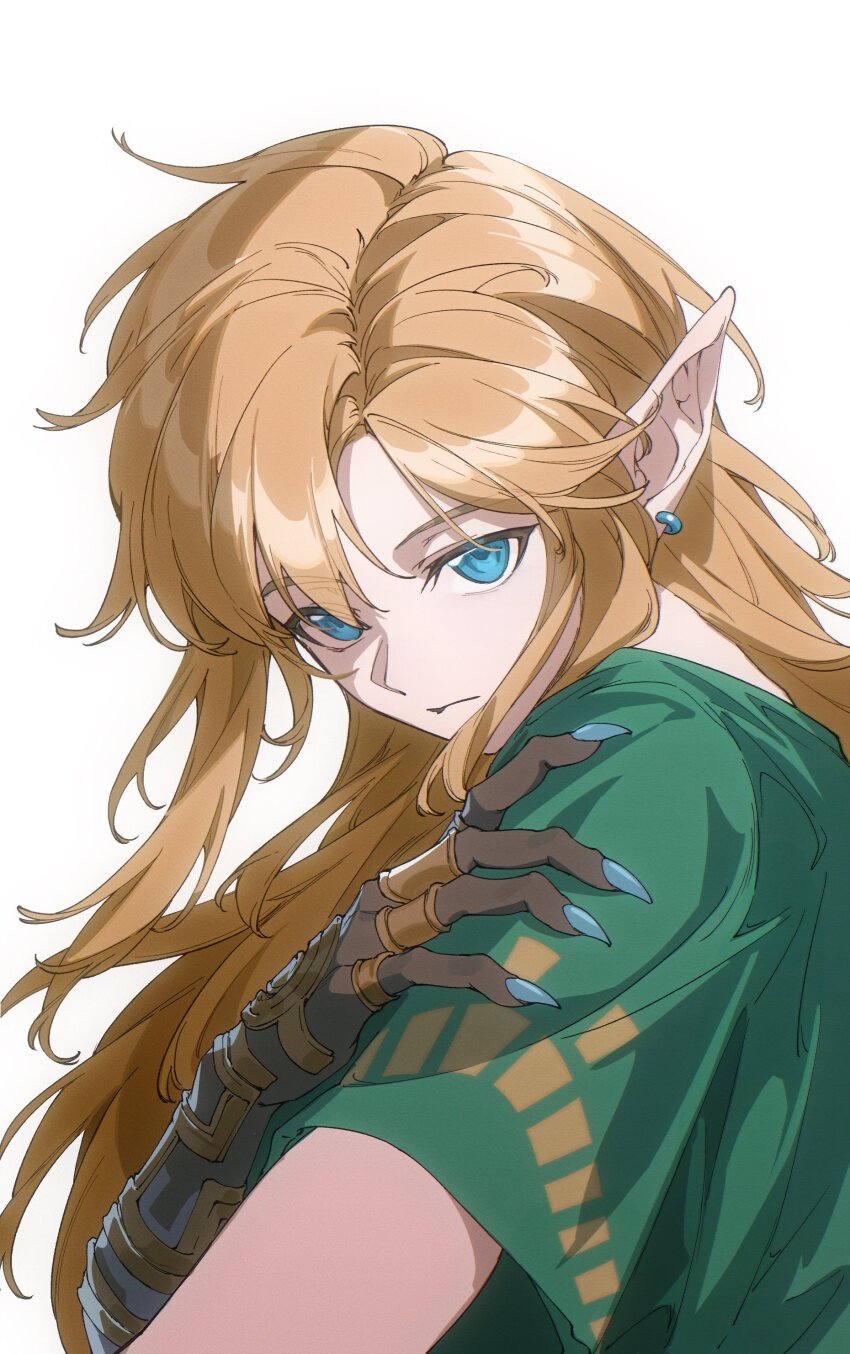 Link (Nintendo) Rule 34 Image