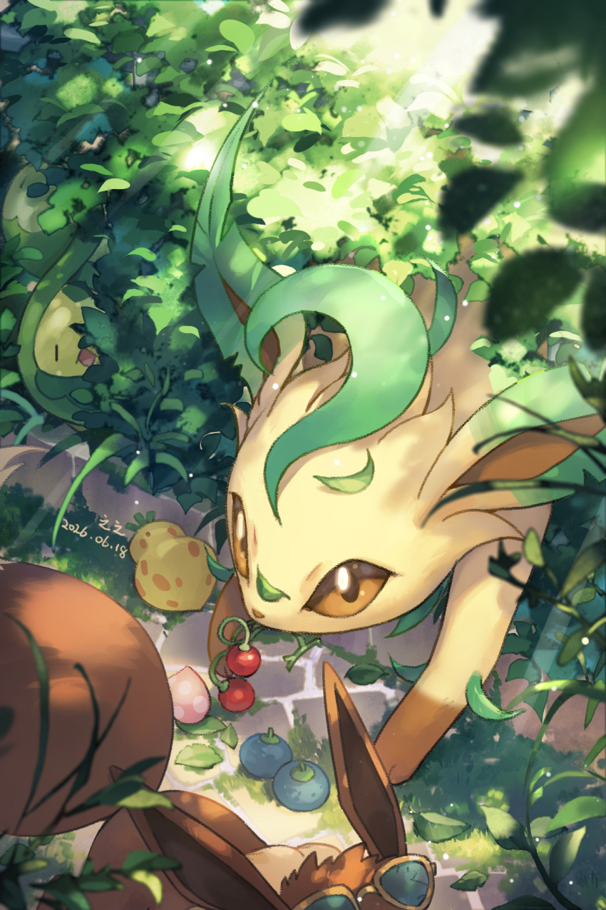 Budew (Nintendo) Rule 34 Image