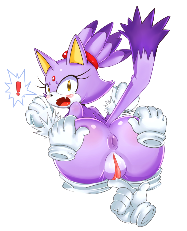 Sonic (Series) Rule 34 Image