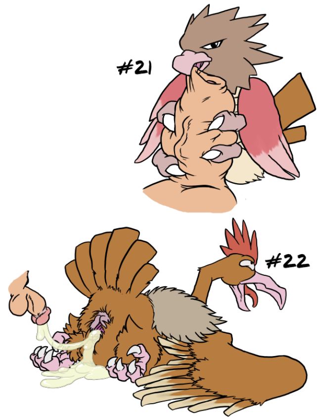 Fearow (Nintendo) Rule 34 Image