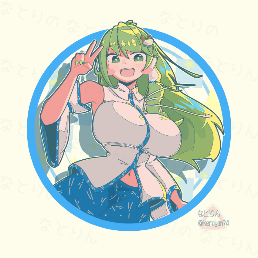 Kochiya Sanae (Touhou) Rule 34 Image