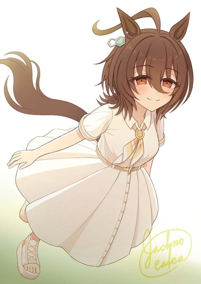 Agnes Tachyon (Umamusume) Rule 34 Image