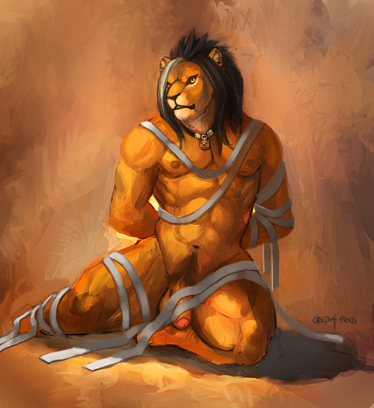 Abs Rule 34 Image