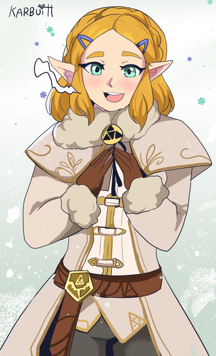 Princess Zelda (Nintendo) Rule 34 Image