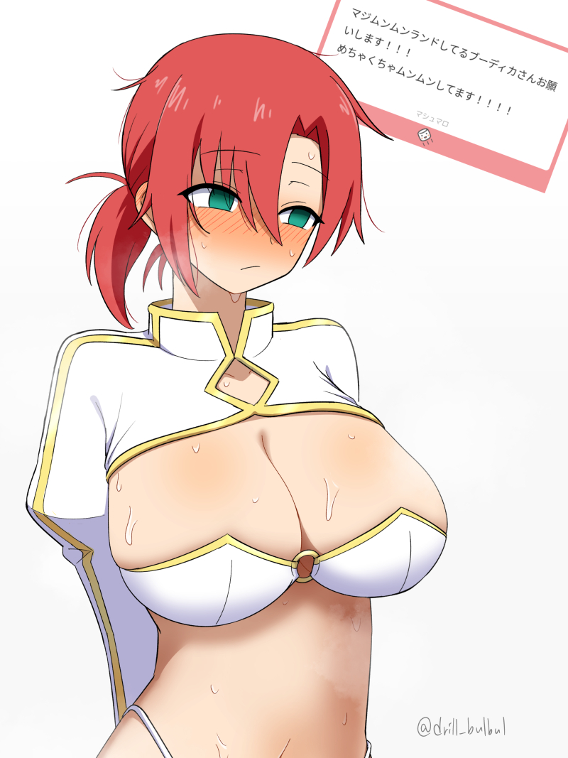 Boudica (Fate) Rule 34 Image