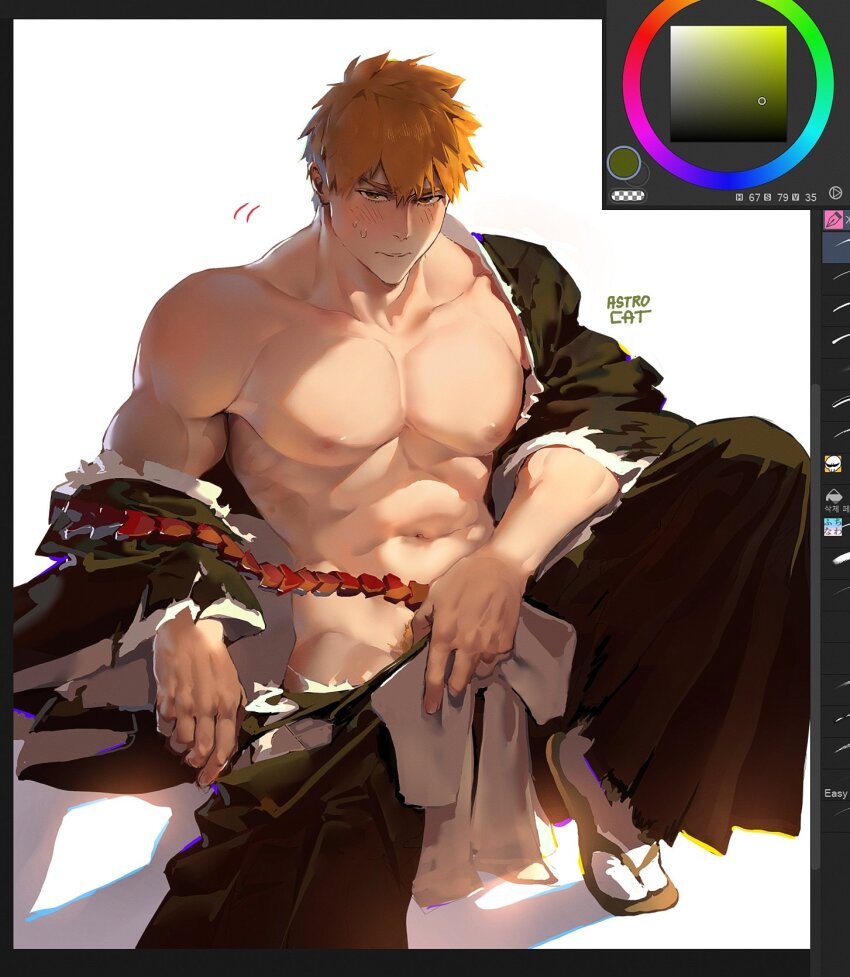 Kurosaki Ichigo (Bleach) Rule 34 Image
