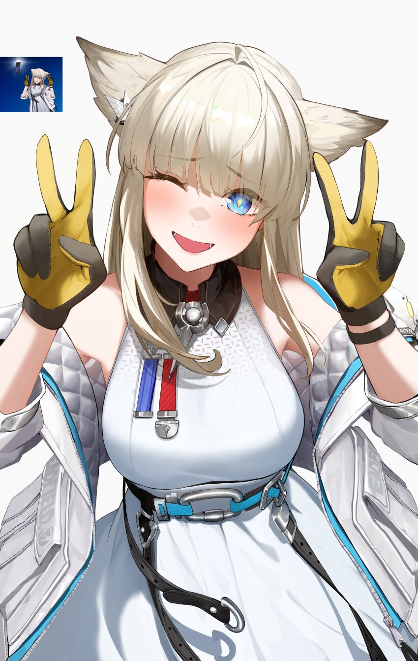 Perlica (Arknights) Rule 34 Image