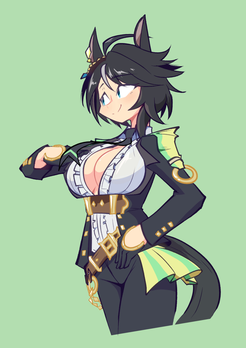 Fuji Kiseki (Shooting Star Revue) (Umamusume) Rule 34 Image