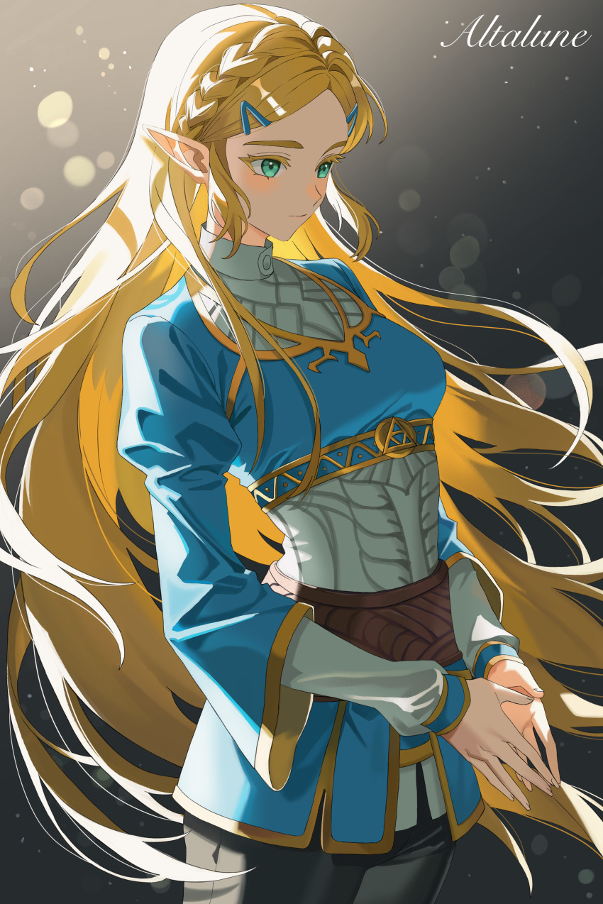 Princess Zelda (Nintendo) Rule 34 Image