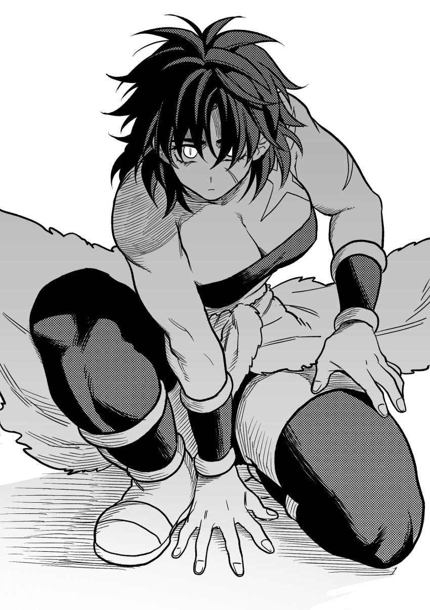 Broly (Dragon Ball Super) Rule 34 Image