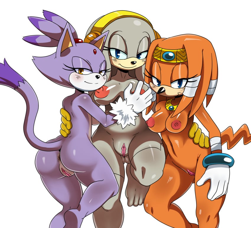 Blaze The Cat (Project X Love Potion Disaster) Rule 34 Image