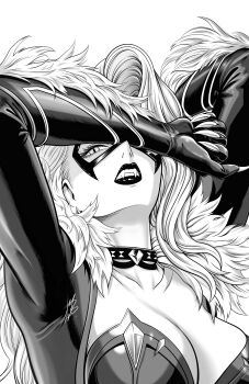 Black Cat (Marvel) Rule 34 Image