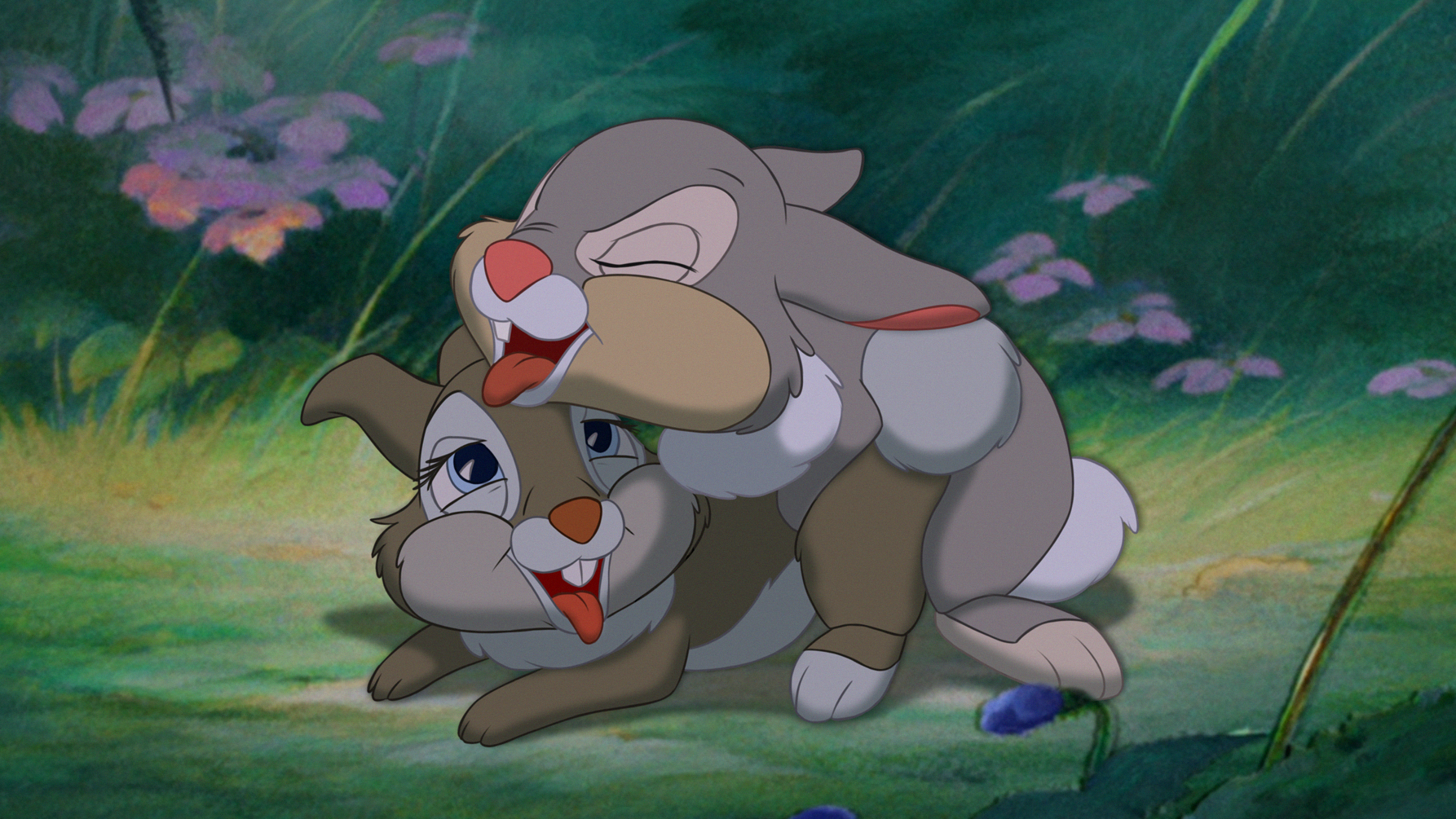 Thumper (Bambi (Film)) Rule 34 Image